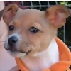 Nuestra p�gina