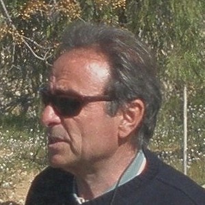 Foto del usuario