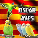 OscarAves17