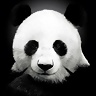 pandrino