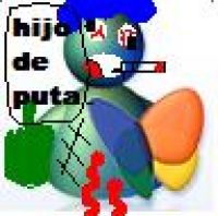 Foto del usuario Foto del usuario