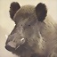 Jabali_2