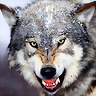 Wotan_lonewolf