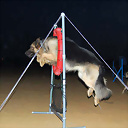 Kaiso_Agility