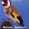 manuelsanlucar