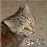 SK50