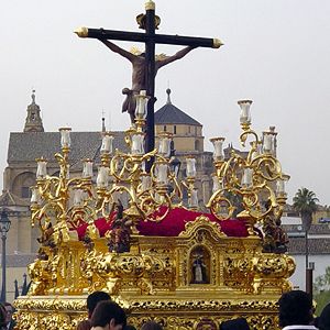 Foto del usuario Foto del usuario