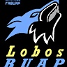 LobosPUEBLA