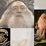 o0Albus_Dumbledore0o