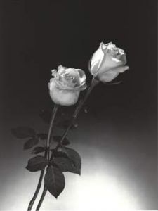Foto del usuario