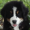 Foto de Kiara_Nika